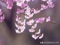 常州鑫吉诺标识有限公司