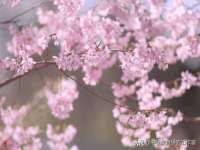 常州鑫吉诺标识有限公司