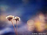 常州鑫吉诺标识有限公司