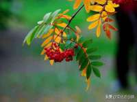 常州鑫吉诺标识有限公司