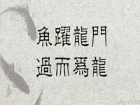 常州鑫吉诺标识有限公司