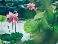 常州鑫吉诺标识有限公司