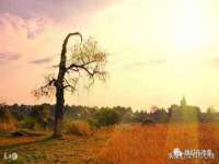 常州鑫吉诺标识有限公司