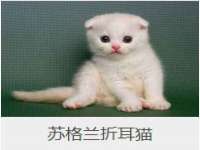 常州鑫吉诺标识有限公司