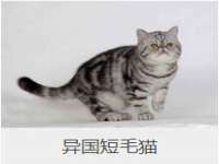 常州鑫吉诺标识有限公司