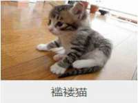 常州鑫吉诺标识有限公司