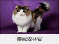 常州鑫吉诺标识有限公司