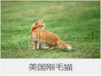 常州鑫吉诺标识有限公司