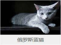 常州鑫吉诺标识有限公司