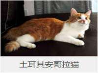 常州鑫吉诺标识有限公司