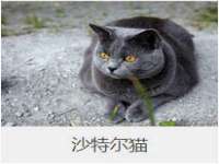 常州鑫吉诺标识有限公司