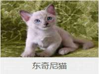 常州鑫吉诺标识有限公司