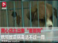 常州鑫吉诺标识有限公司