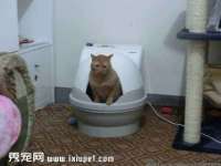常州鑫吉诺标识有限公司