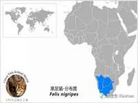 常州鑫吉诺标识有限公司