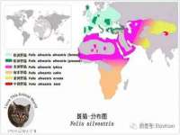 常州鑫吉诺标识有限公司