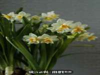 常州鑫吉诺标识有限公司