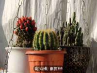 常州鑫吉诺标识有限公司