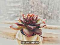 常州鑫吉诺标识有限公司