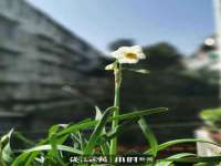常州鑫吉诺标识有限公司