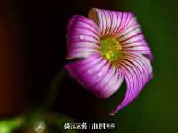 常州鑫吉诺标识有限公司