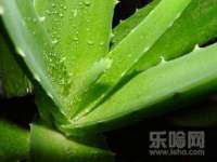常州鑫吉诺标识有限公司