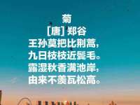 常州鑫吉诺标识有限公司