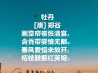 常州鑫吉诺标识有限公司