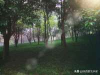 常州鑫吉诺标识有限公司