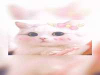 常州鑫吉诺标识有限公司