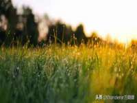 常州鑫吉诺标识有限公司
