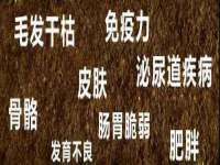 常州鑫吉诺标识有限公司