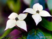 常州鑫吉诺标识有限公司