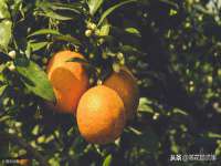 常州鑫吉诺标识有限公司