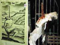 常州鑫吉诺标识有限公司