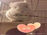 常州鑫吉诺标识有限公司
