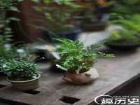 常州鑫吉诺标识有限公司