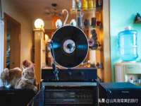 常州鑫吉诺标识有限公司