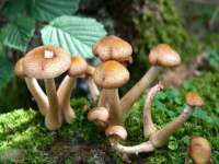 常州鑫吉诺标识有限公司