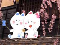常州鑫吉诺标识有限公司
