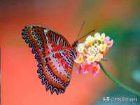 常州鑫吉诺标识有限公司