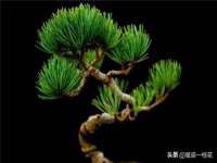 常州鑫吉诺标识有限公司